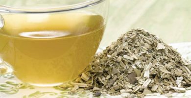 hierba-mate-beneficios