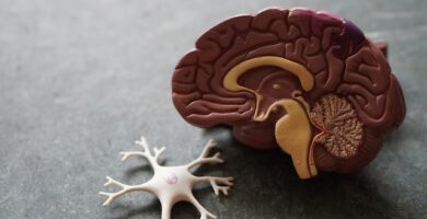 nuevos-farmacos-contra-alzheimer