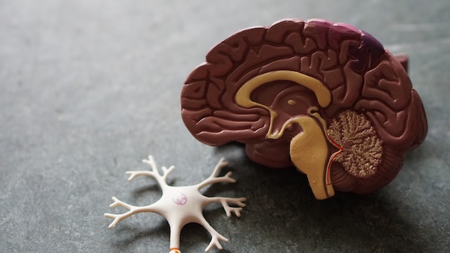 nuevos-farmacos-contra-alzheimer