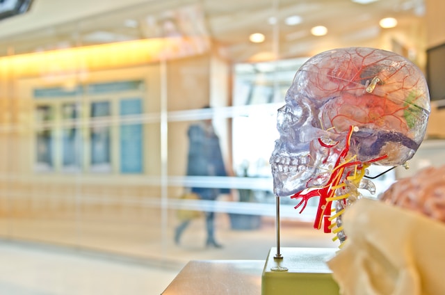 nuevos-medicamentos-contra-el-alzheimer
