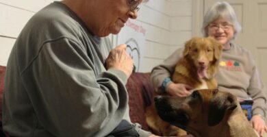 perros de terapia