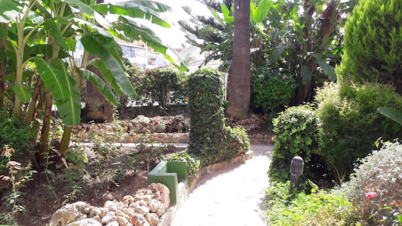 residencia-girasol-malaga-jardines-810